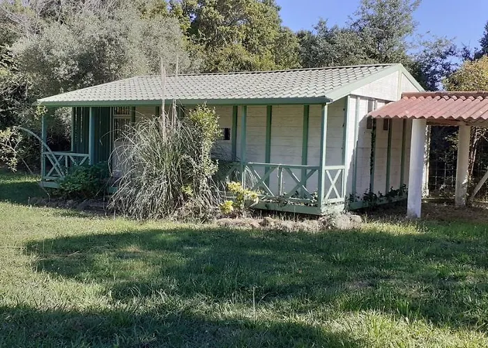 Praticcioni * Linguizzetta